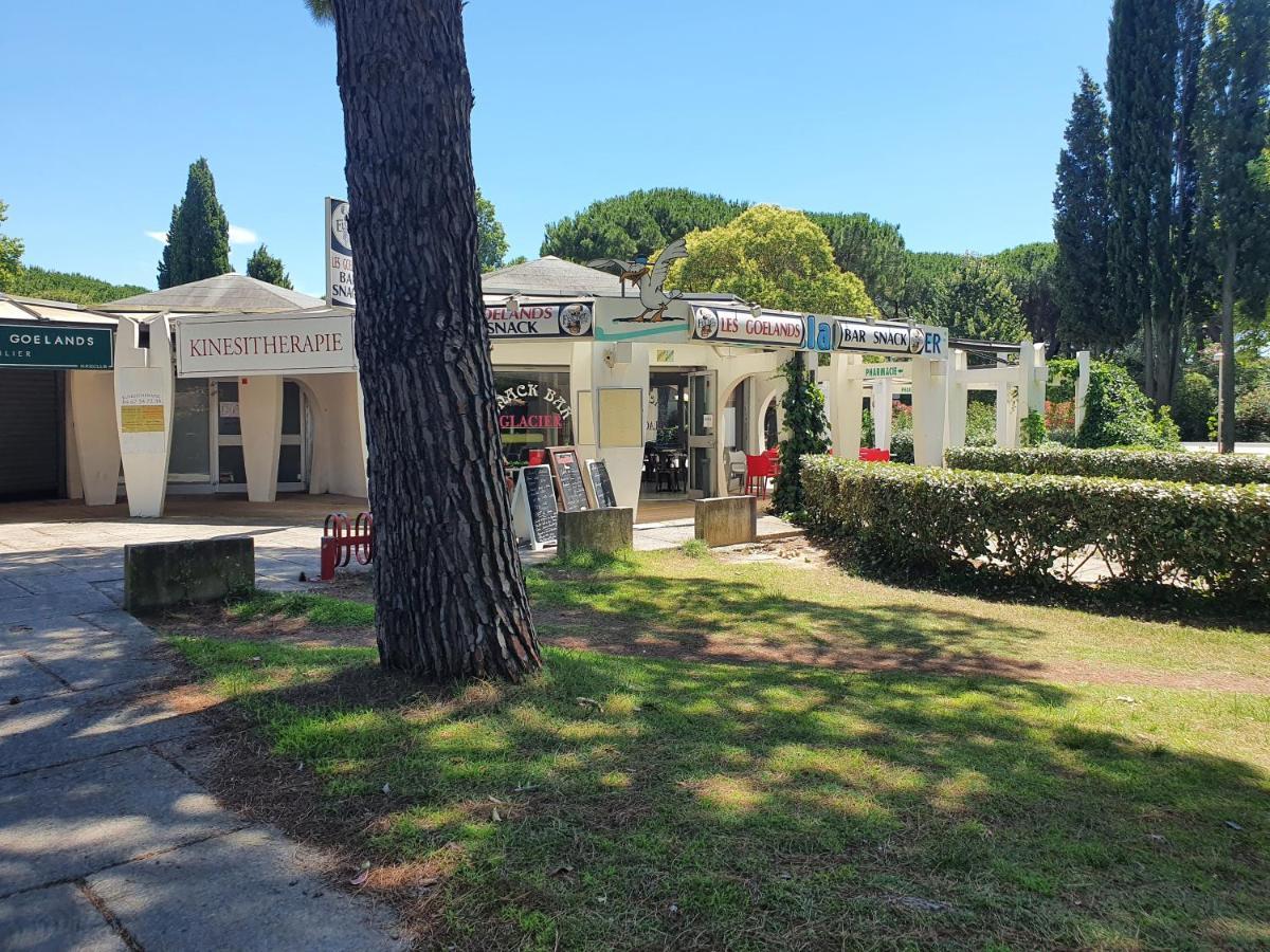 Grande Villa Independante Proche Plage Et Commerces Grande Motte La Grande-Motte Exterior photo